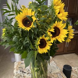 Hooray's From Hollywood - Sunflowers for Valentine's Day!