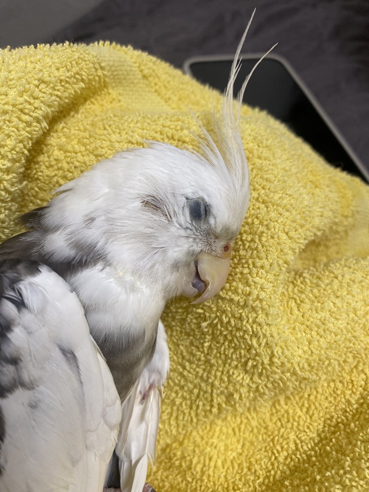 BIRD HOSPITAL Updated September 2024 3805 Main St, Oakley