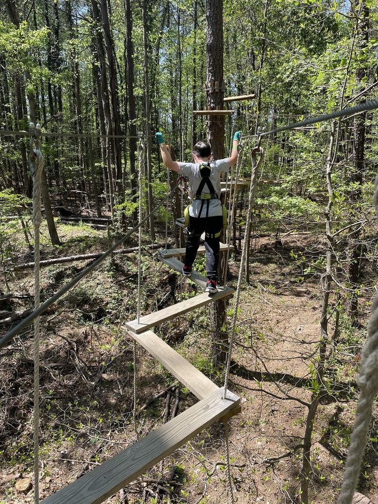 Treetop Quest Dunwoody Logo