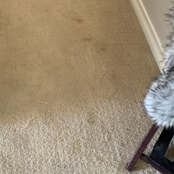 Art's Cleaning Services - Before cleaning ... 22 year old carpet. - Carpet Cleaning Near Me Art's Cleaning Services - Before cleaning ... 22 year old carpet. - Carpet Cleaning Near Me