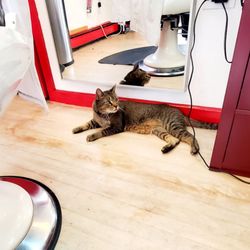 Koca Barbershop