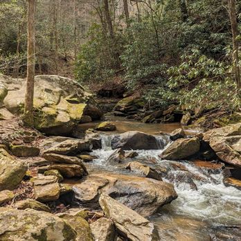 Pearson's Falls and Glen - Instagram: @telephonesmoothie - Hiking Near Me - Saluda, North Carolina Pearson's Falls and Glen - Instagram: @telephonesmoothie - Hiking Near Me - Saluda, North Carolina