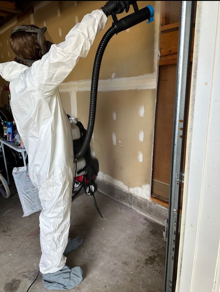 Mr. Mold - mold inspector in Highland, MI