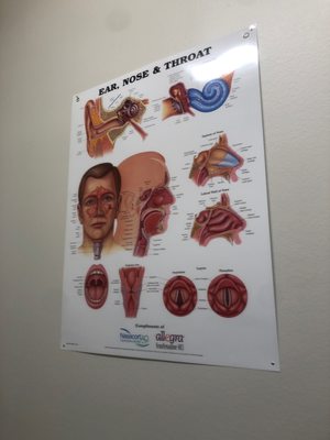 Andamo Guillaume, MD - South Texas ENT Consultants