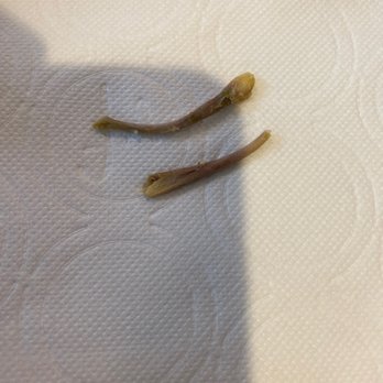 El Pollo Loco - Two bones from delicious tortilla soup - Mexican Near Me - El Cajon, California