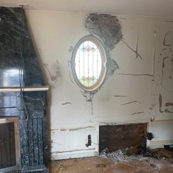 Termite and mold