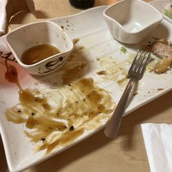 Wok Teriyaki IX
