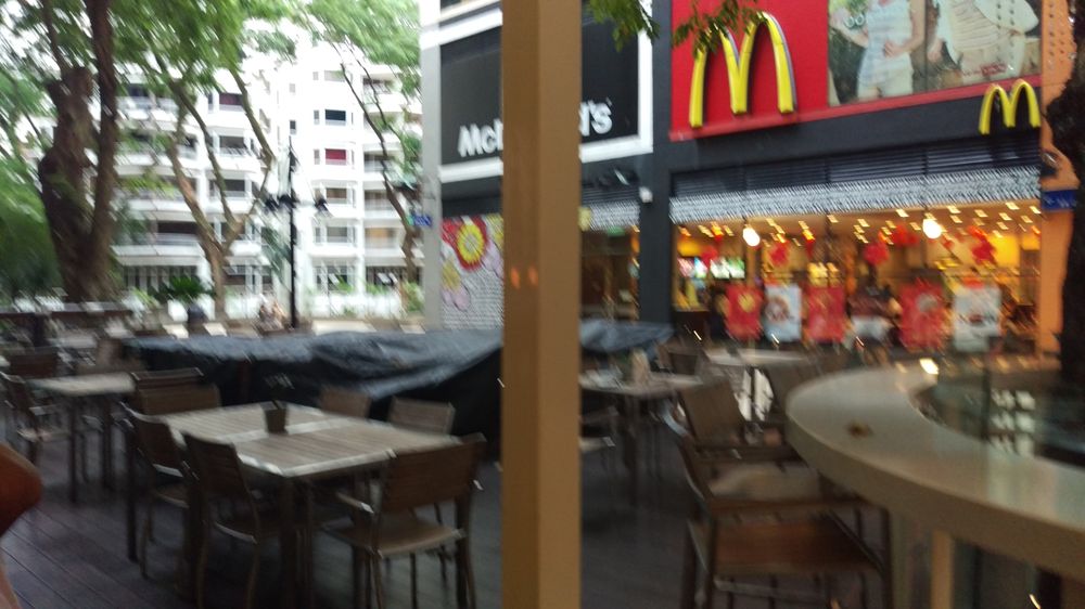 Tree Bar
