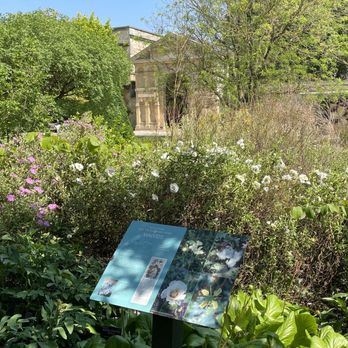 The Oxford Botanic Garden - Garden area - Shopping Near Me - Oxford, OXF