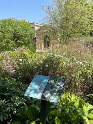 Oxford Botanic Garden by null
