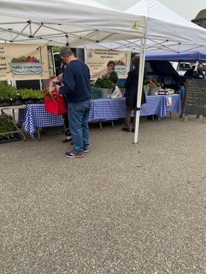 Cooper-Young Community Farmers Market by null