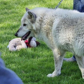 Big Run Wolf Ranch - Education Near Me - Lockport, Illinois