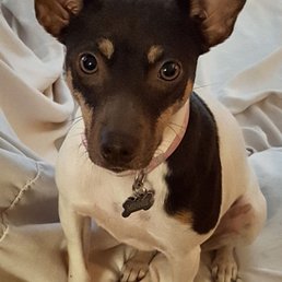 Minnie Minnie