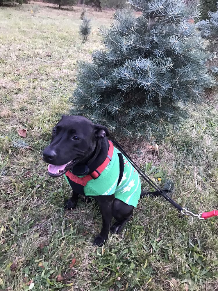 OTTERBEIN LANDSCAPING Updated September 2024 310 Skillmans Ln