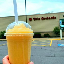 Twin Orchards Farms - Cider slushie