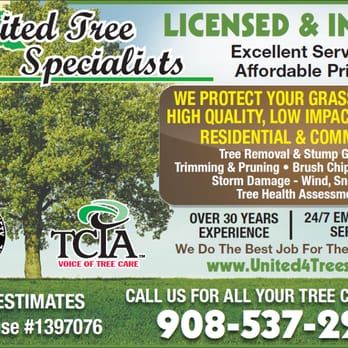 United Tree Specialists - United Tree Specialists - #1 Top Rated Customer Service.  Licensed and Insured with over 30 years of tree experience. Call Today - Tree Services Near Me - Hampton, New Jersey