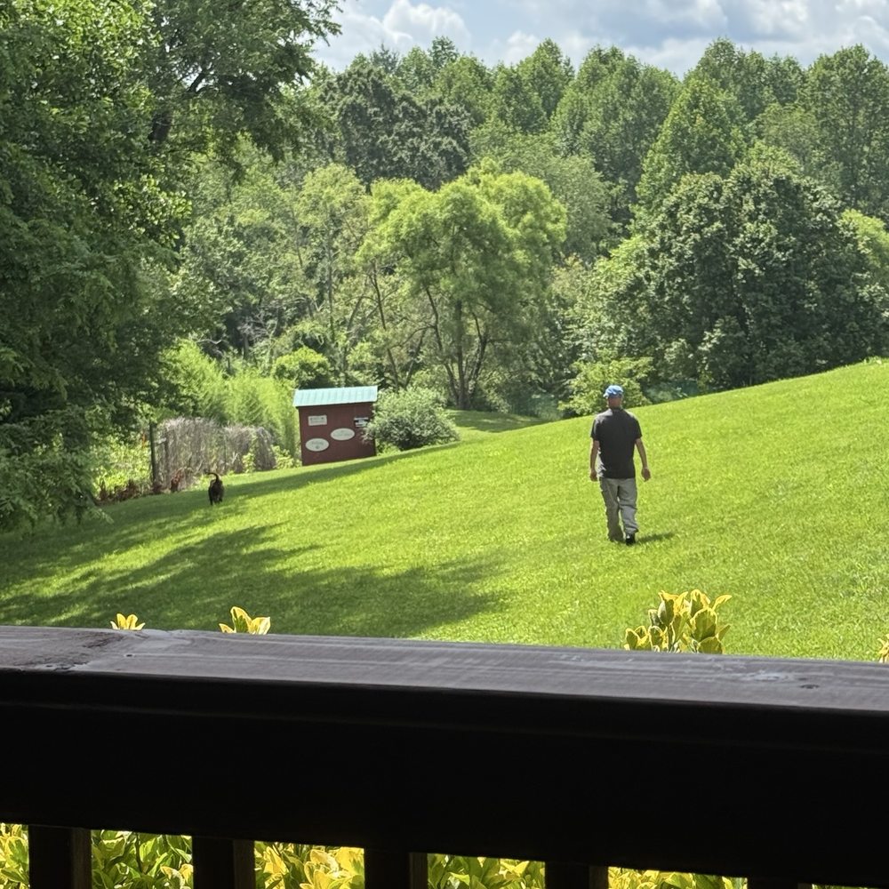 Barkwells - Property is fenced in for safe off leash training. - Vacation Rentals Near Me - Mills River, North Carolina