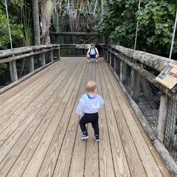 Palm Beach Zoo - Zoos Near Me - West Palm Beach, Florida