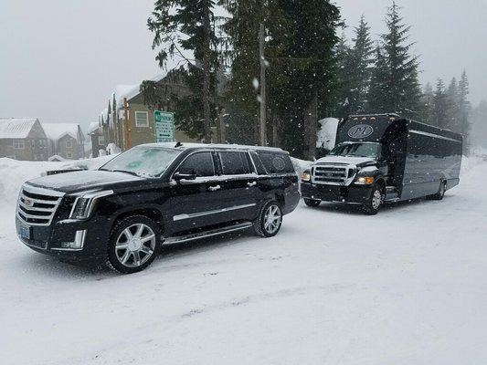 JMI LIMOUSINE - 57 Photos & 60 Reviews - Limos - 3737 SW 117th Ave