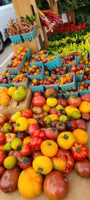 Bloomfield Saturday Market by null
