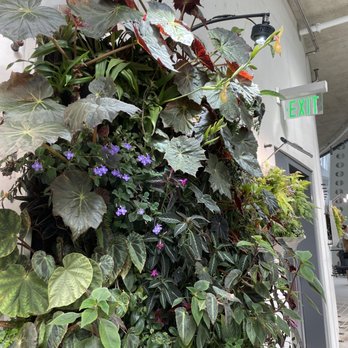 Amazon Spheres - Botanical Gardens Near Me - Seattle, Washington