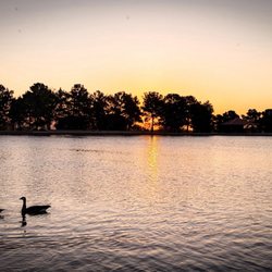 Sunset Park - Sunrise morning .