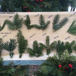 Perseverance Tree Farm - They have so many tree types!