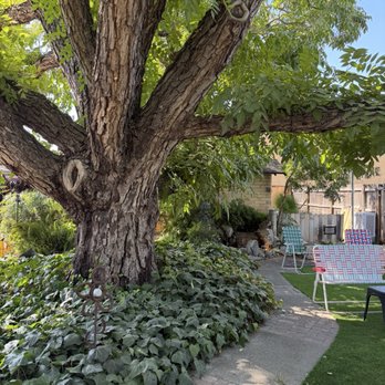 Monstera Coffee Studio - Coffee & Tea Near Me - Clovis, California