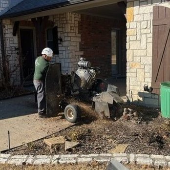 Advanced Tree & Shrub Care - Tree Services Near Me - Fairview, Texas Advanced Tree & Shrub Care - Tree Services Near Me - Fairview, Texas