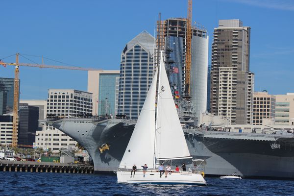 Harbor Sailboats by null