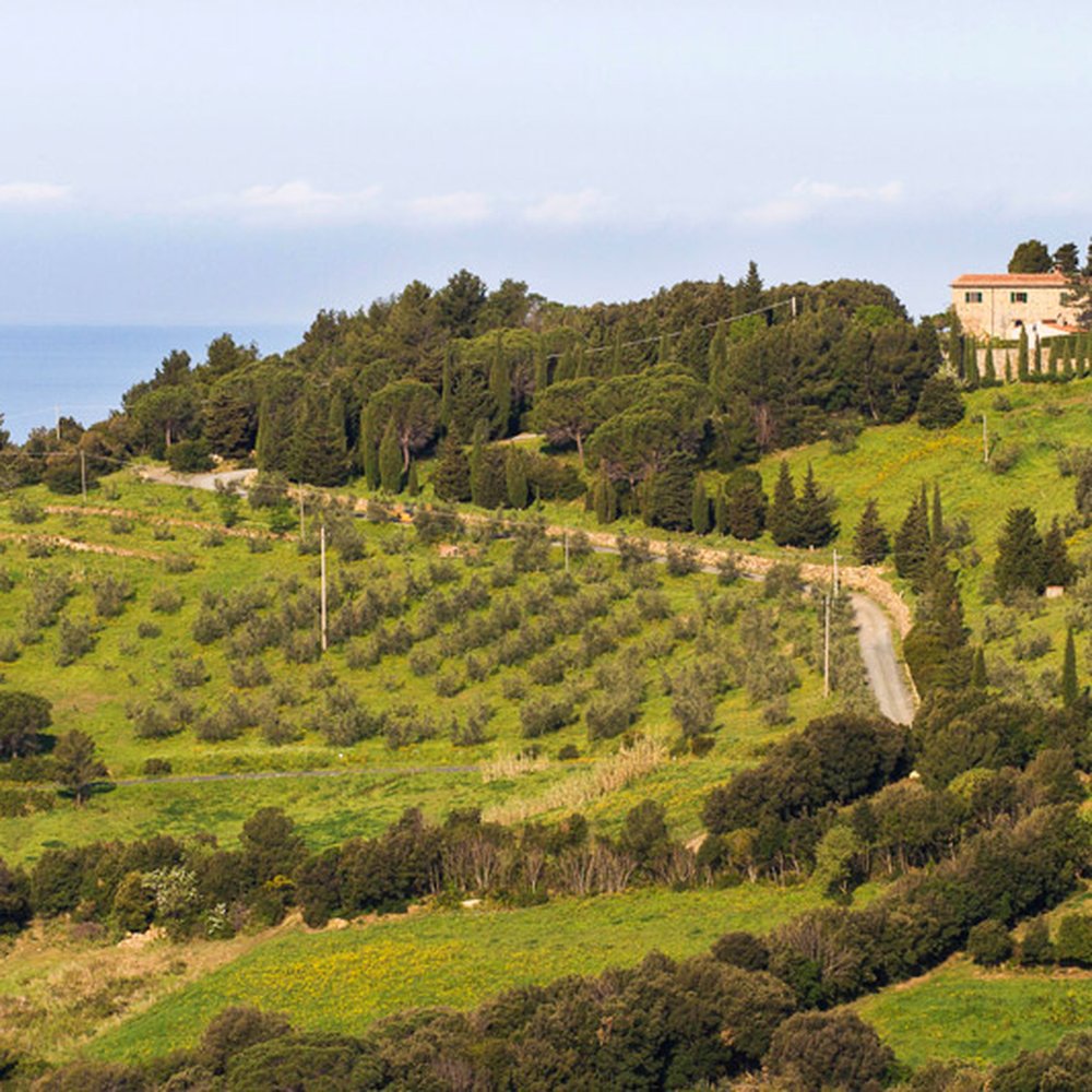 TOP 10 BEST Agriturismi near Montespertoli, Firenze, Italy - Updated 2026 -  Yelp, image size:1000x1000