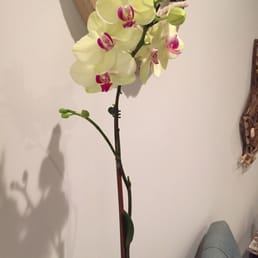 Beautiful fresh Orchid decor Beautiful fresh Orchid decor