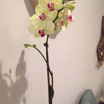 A Healing Touch By Lilin - Beautiful fresh Orchid decor - Massage Near Me - Hermosa Beach, California A Healing Touch By Lilin - Beautiful fresh Orchid decor - Massage Near Me - Hermosa Beach, California