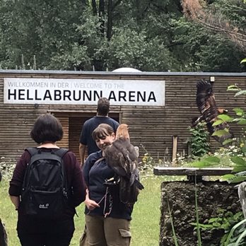 Tierpark Hellabrunn - Eagle - Zoos Near Me - Munich, BY Tierpark Hellabrunn - Eagle - Zoos Near Me - Munich, BY