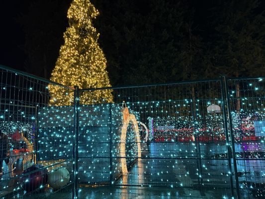 The Lights of Christmas by null