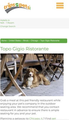 Topo Gigio Ristorante by null