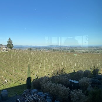 Brooks Wine - Patio view - Wineries Near Me - Amity, Oregon
