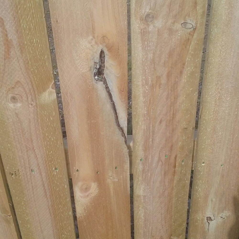 bad boards bad boards