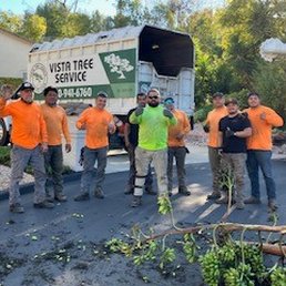 Vista Tree Service Crews Vista Tree Service Crews