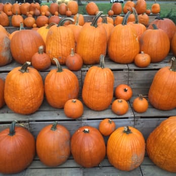 Battleview Orchards - Pick Your Own Farms Near Me - Freehold, New Jersey