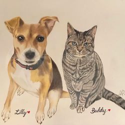 United States Postal Service - Original drawing.  Very sentimental. Deceased pets