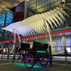 Tribe Rides Pedicabs