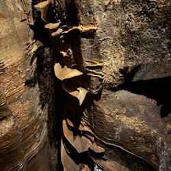 Niagara Cave
