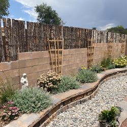 Desert Rose Landscape & Maintenance