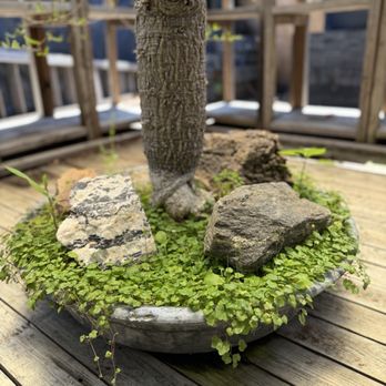 Obsolete - Bonsai garden - Antiques Near Me - Culver City, California Obsolete - Bonsai garden - Antiques Near Me - Culver City, California