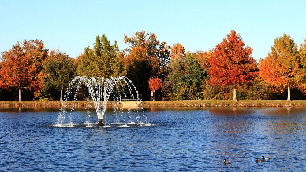 Lambert Firm, PC - disability attorney in Plano, TX