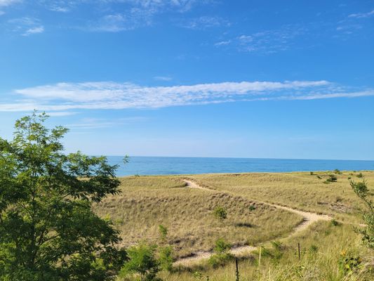 New Buffalo Beach by null