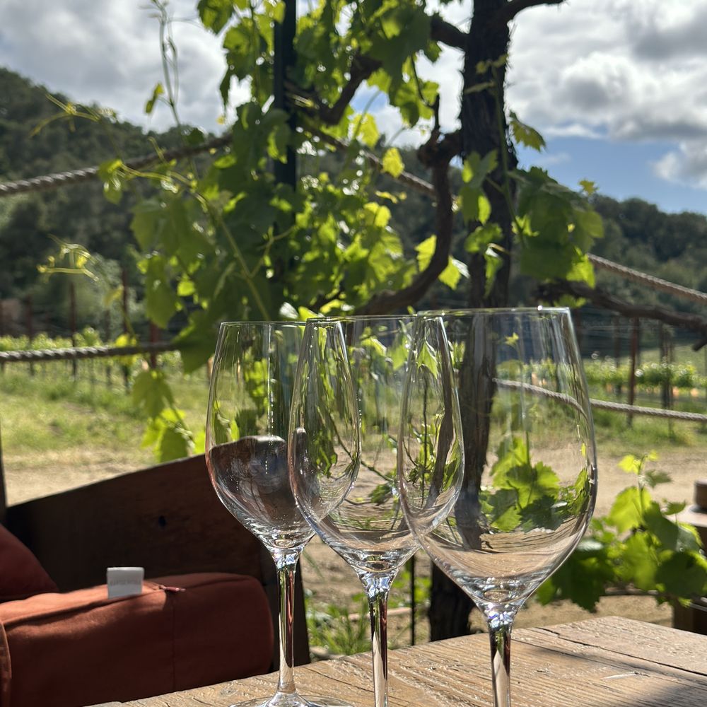 Old Creek Ranch Winery - Glasses - Venues & Event Spaces Near Me - Ventura, California Old Creek Ranch Winery - Glasses - Venues & Event Spaces Near Me - Ventura, California