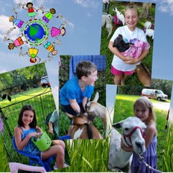 Pine Island Montessori