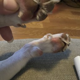 Nails not cut as paid for Nails not cut as paid for